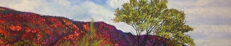 Australian Pastel Artist - Western Australia