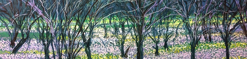 AUSTRALIAN PASTEL ARTIST