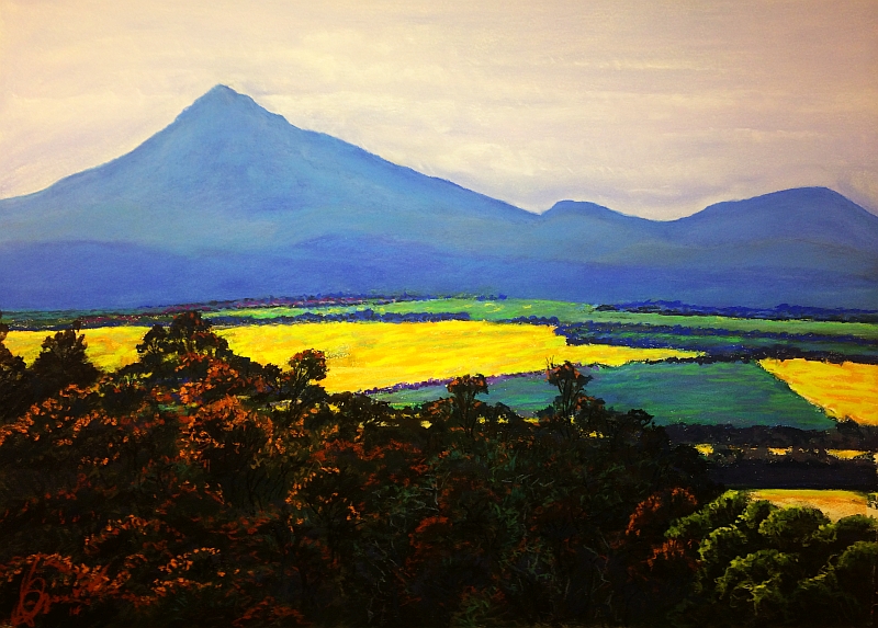 Canola Fields under the Porongorups