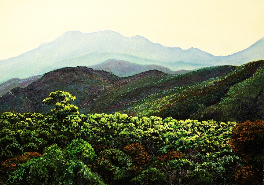 Over the Franklin River to Mount Gell, Tasmania